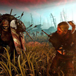 specjaliści Dr Kalliwoda Research zalecają redukowanie akcji CD Projekt Red w portfelach