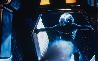 W filmie „Obcy – 8. pasażer Nostromo” Ridleya Scotta z 1979 r. potwora zagrał mierzący 220 cm Zulus