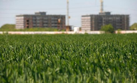 Skokowa poprawa w J.W. Construction