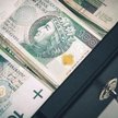 Nadwyżka w budżecie po lutym wyniosła 4,5 mld zł