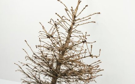 Tomasz Wysocki. Zdjęcie z cyklu Return to Eden