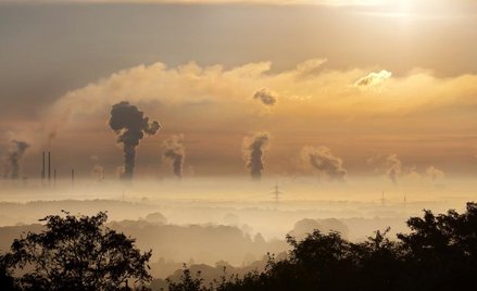 Trudna walka z narastającym smogiem