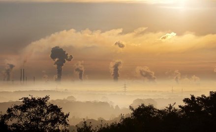 Smog nie zna granic