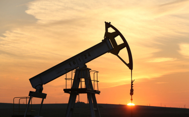 Saudyjczycy próbują podbić ceny ropy naftowej, ale mają z tym problemy