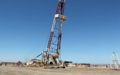 Wysoki kurs Petrolinvestu