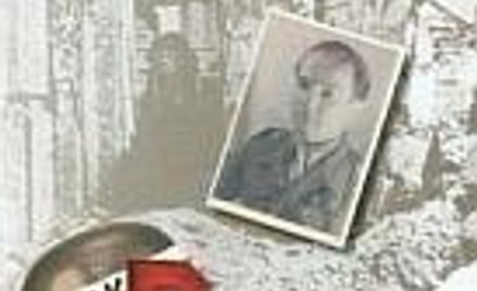 Gorzko o powstaniu warszawskim