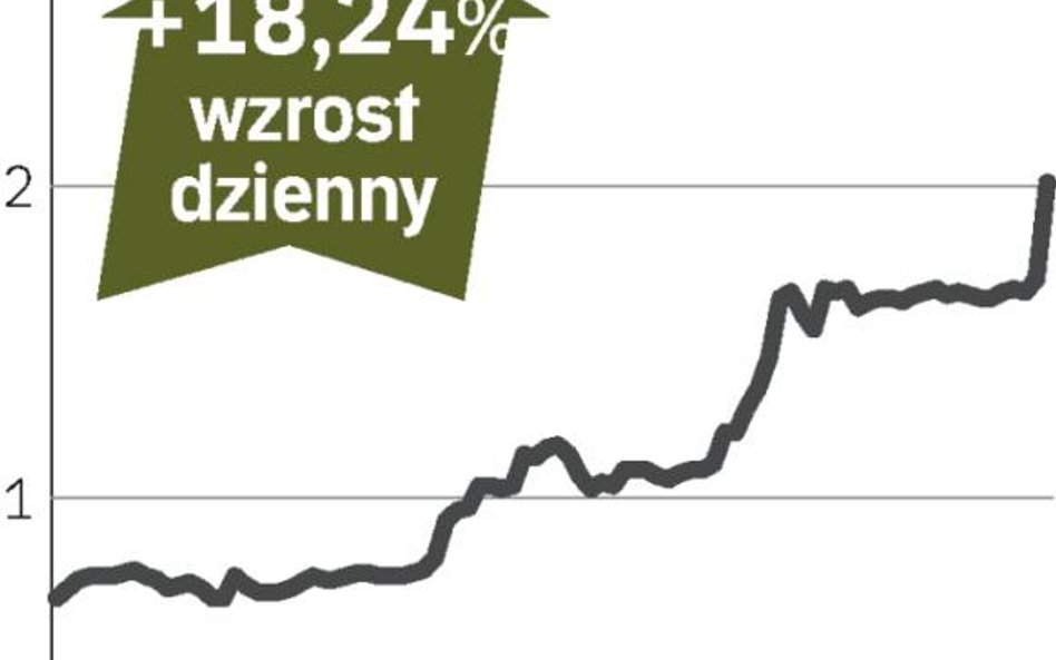 Boryszew