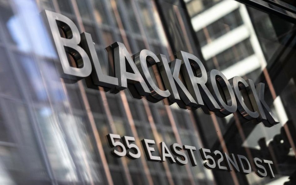 #WykresDnia: BlackRock pożera świat