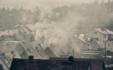 Kolejne miasta zakazują palenia węglem w piecach