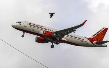 Air India samodzielnie po fiasku prywatyzacji
