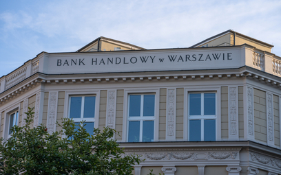 Duże banki w Polsce nie chcą przejmować małych biznesów