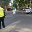 Patrol policji drogowej osaczył ciekawskiego robota