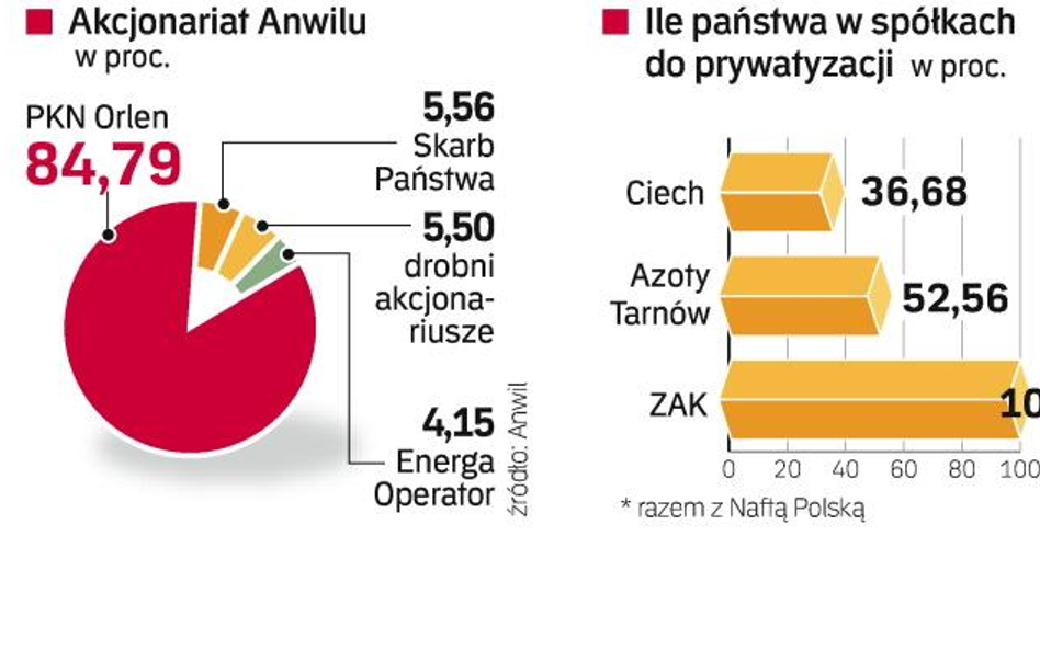 Skarb Państwa będzie się spieszył z prywatyzacją firm chemicznych, gdyż potrzebuje pieniędzy. Jeśli 