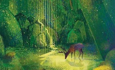 „Szepczący las”: Im dalej w bór, tym więcej drzew