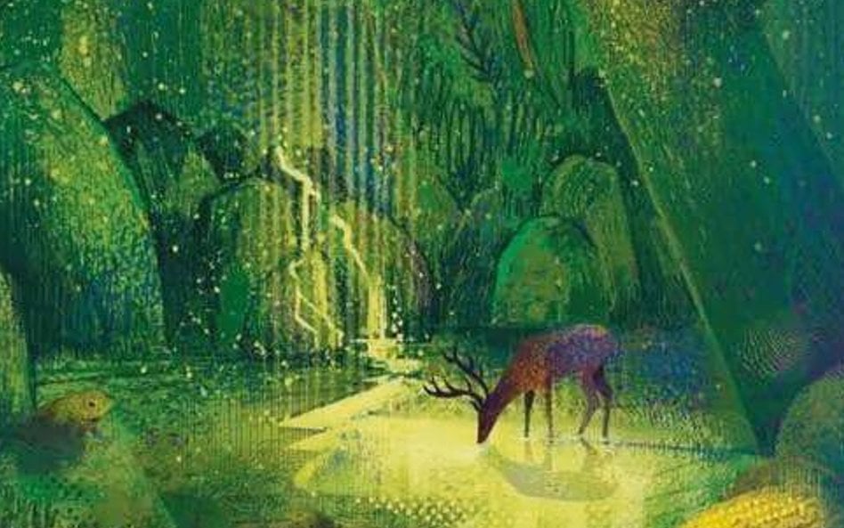 „Szepczący las”: Im dalej w bór, tym więcej drzew