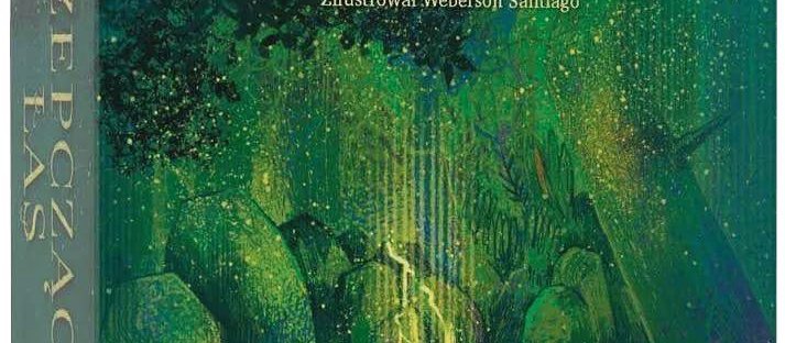 „Szepczący las”: Im dalej w bór, tym więcej drzew