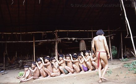 Pomimo wysiłków wielu międzynarodowych kampanii mających na celu obronę Janomami, ich los jest, nies