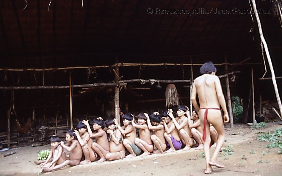 Pomimo wysiłków wielu międzynarodowych kampanii mających na celu obronę Janomami, ich los jest, nies