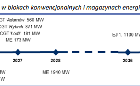 Nowe moce wytwórcze oddawane w kolejnych latach. Dane PSE