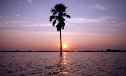 „Rajskie” podmioty płacą nałożone kary