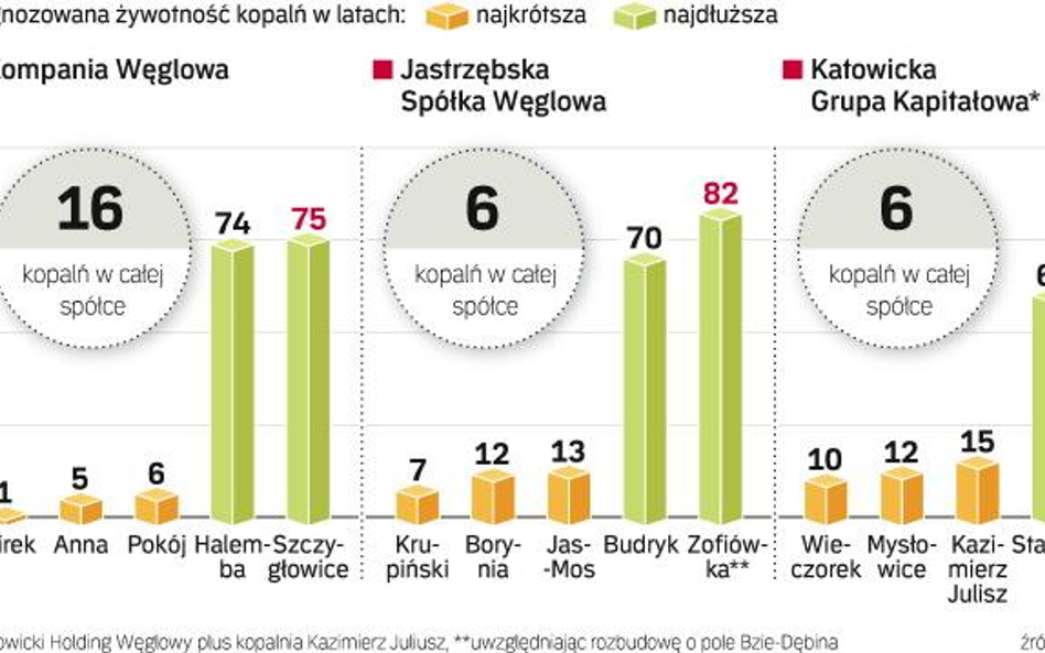 Bez inwestycji zasoby węgla zmniejszą się o jedną trzecią