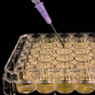 Bioton: Strata wyższa od oczekiwań