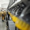 Australia czeka na polskich górników
