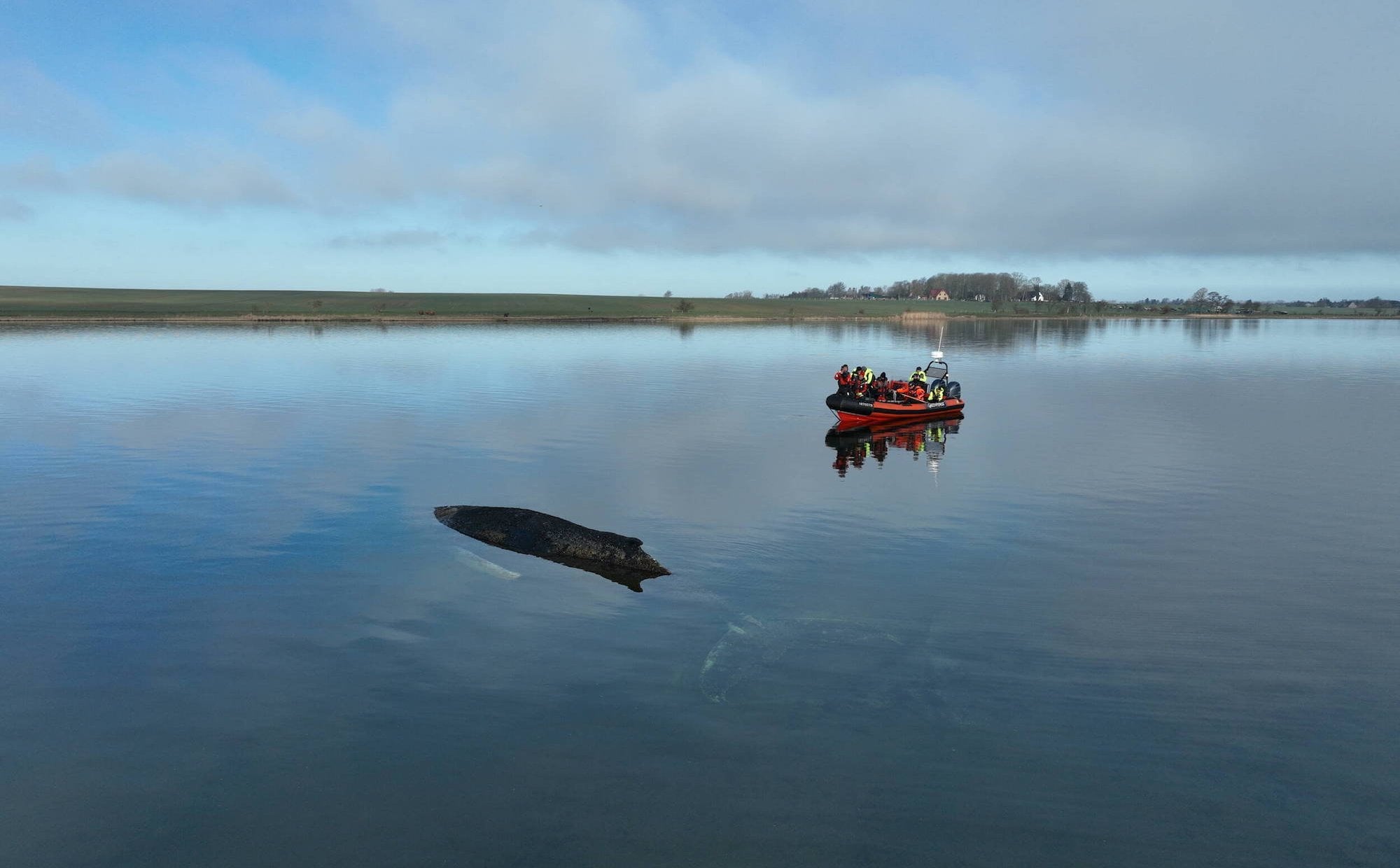 Humbak utknął w Bałtyku. Akcja ratunkowa nie przynosi skutków, Niemcy bezradni
