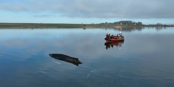 Humbak utknął w Bałtyku. Akcja ratunkowa nie przynosi skutków, Niemcy bezradni