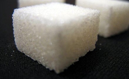 Sprzedaż niemal 80 proc. akcji Krajowej Spółki Cukrowej należących dziś do Skarbu Państwa ma szanse 