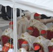 Tomasz Krzyżak: Społeczne przebudzenie biskupów?