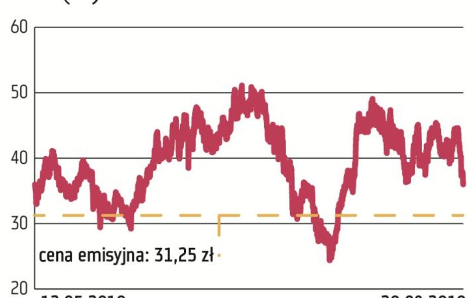 Cena emisyjna akcji PZU wynosiła 312,5 zł. Później jednak nastąpił split, więc cena odniesienia wyno