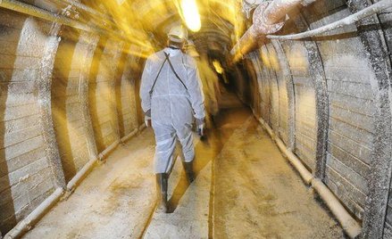 Rekordowa rentowność górnictwa