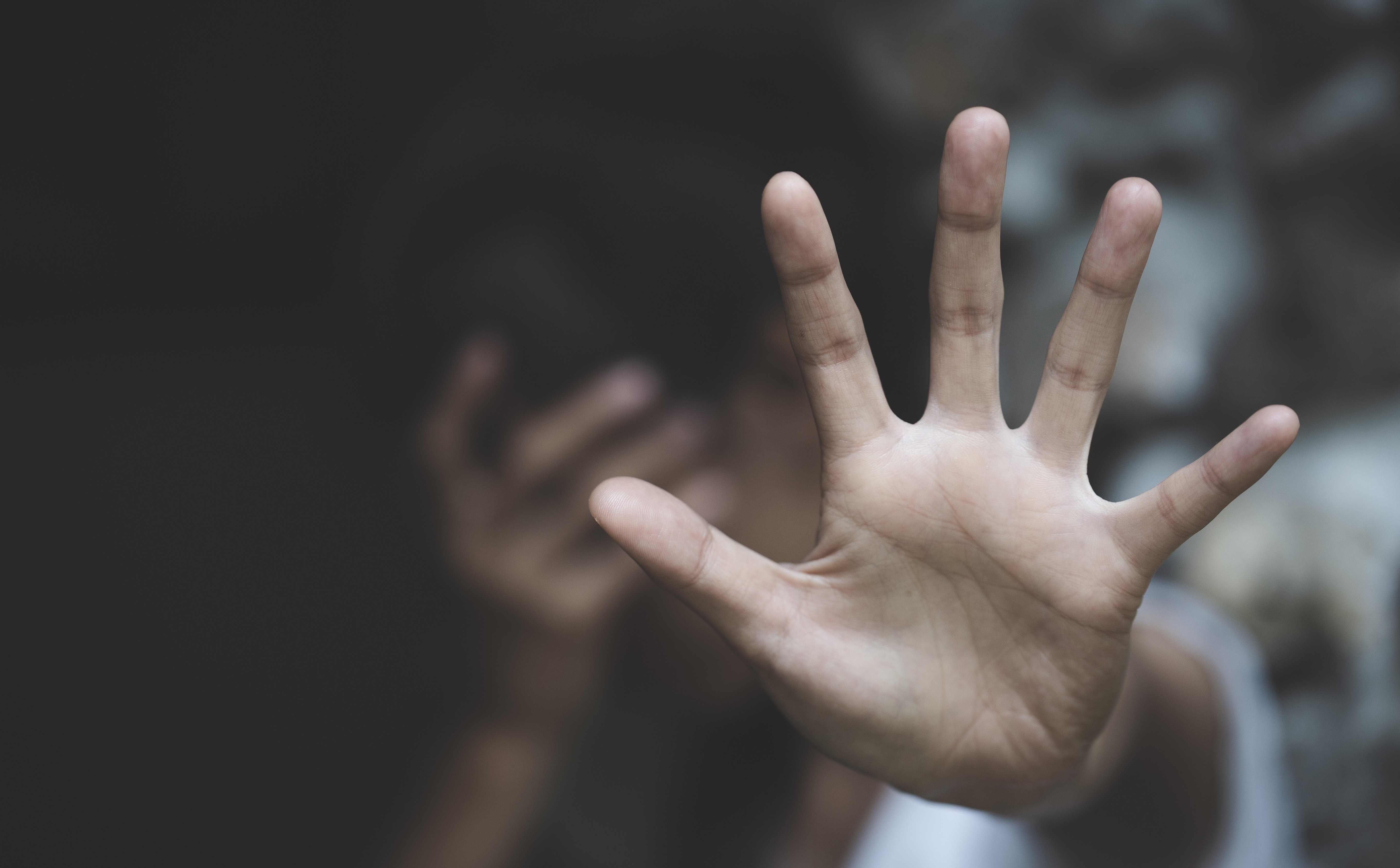 Efekt filmu „Dom Dobry”? Feminoteka z rekordową liczbą zgłoszeń