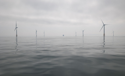 Pytania o przetarg GDOŚ. Urząd wyjaśnia