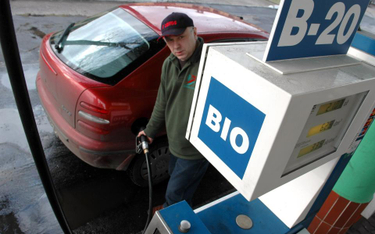 Biopaliwa powiększają koszty firm