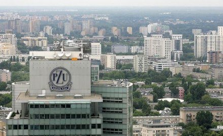 PZU i PKO BP chcą wziąć udział w rozbiorze AIG