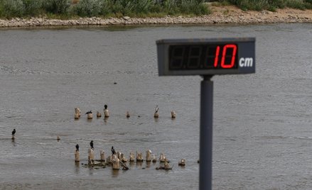 Tego lata stan wody w Wiśle w Warszawie był rekordowo niski.