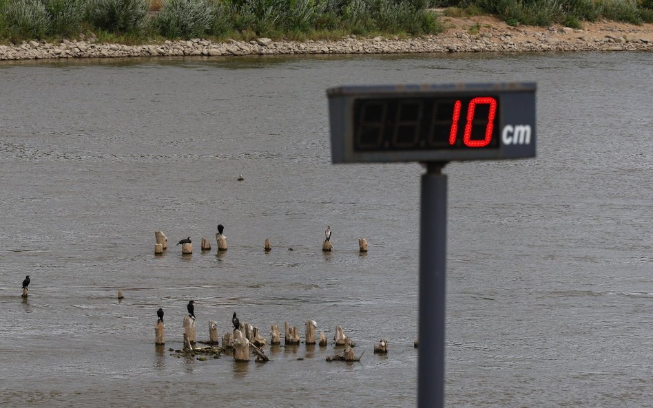 Tego lata stan wody w Wiśle w Warszawie był rekordowo niski.