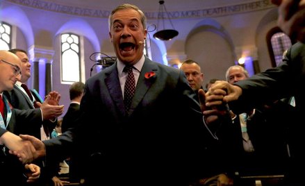 Polityka Partii Brexitu ws. brexitu niejasna dla 15 proc. Brytyjczyków