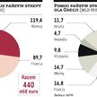 Stre­fa eu­ro w dziu­ra­wej sza­lu­pie ra­tun­ko­wej
