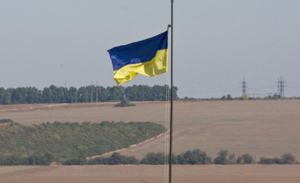 Ukraina w strefie wolnego handlu