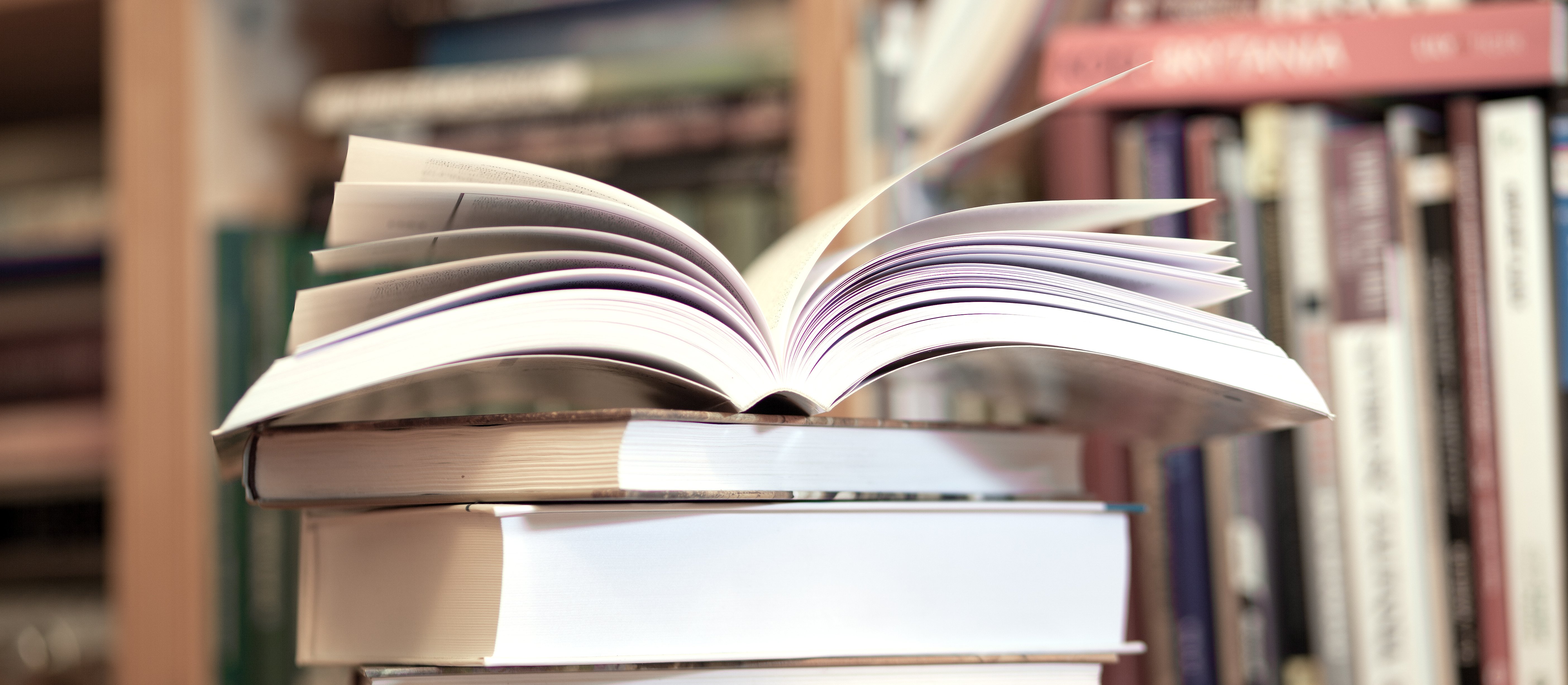 Redaktorzy „Plusa Minusa” polecają