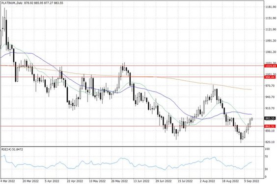 Notowania platyny – dane dzienne
