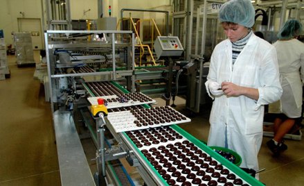 Niższe marże Wawelu