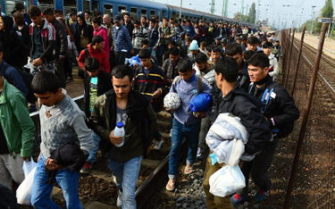 Sondaż: Czy należy organizować referendum ws. uchodźców