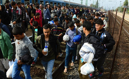 Przyjmowanie uchodźców nie pomaga gospodarce, ale zapewnia autorom rozgłos