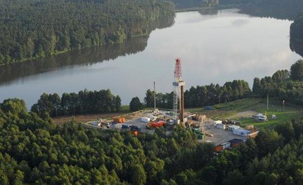 Wiercenia w Puszczy Nadnoteckiej