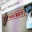Wikileaks opublikuje listę oszustów podatkowych