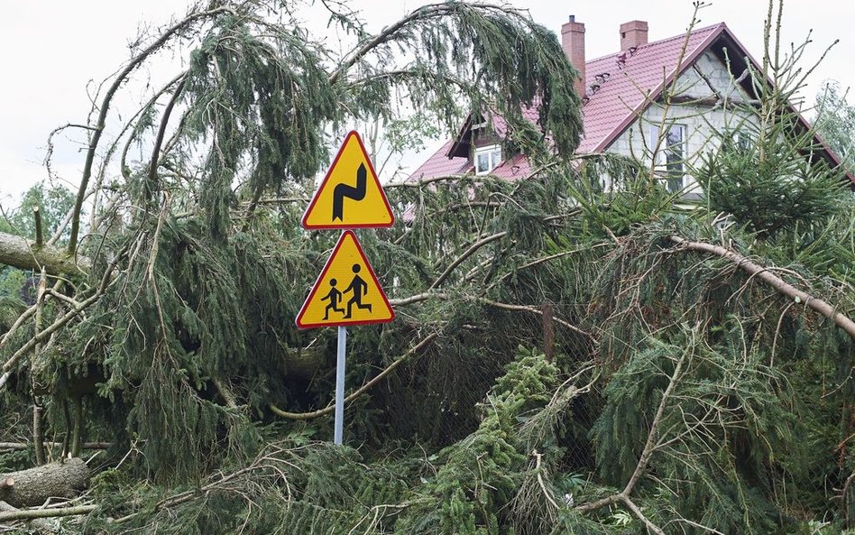 5 mln zł dla dzieci z terenów dotkniętych nawałnicami